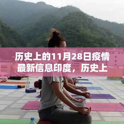 历史上的11月28日印度疫情最新信息及深度分析
