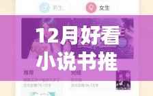 十二月最新热门小说推荐与深度测评,不容错过的阅读盛宴