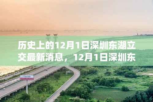 深圳东湖立交新进展,自然美景的心灵之旅启程日纪念报道