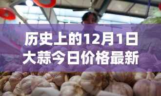 大蒜风云,历史价值变迁与今日市场最新行情回顾的探寻之路