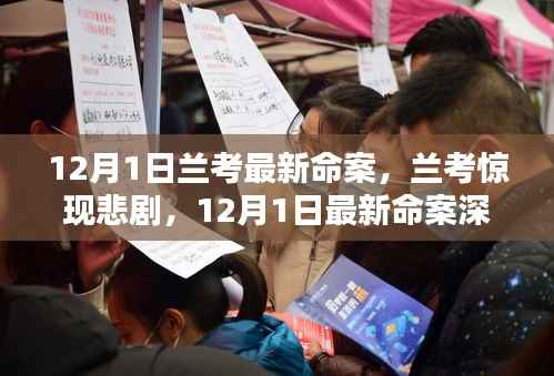 初遇在故事开头 第11页