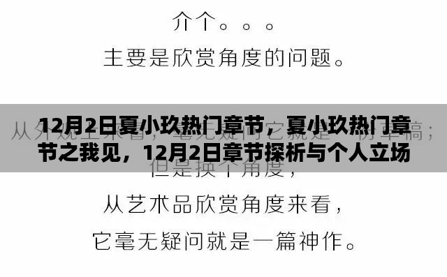 夏小玖热门章节探析与个人立场阐述,12月2日之我见