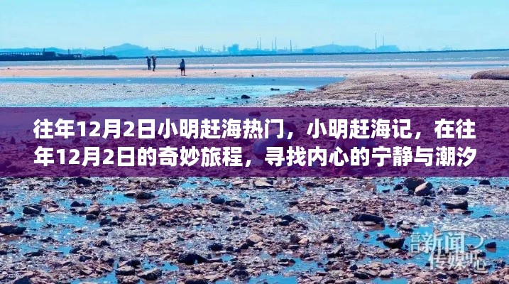 小明赶海记,寻找潮汐之声与内心的宁静之旅