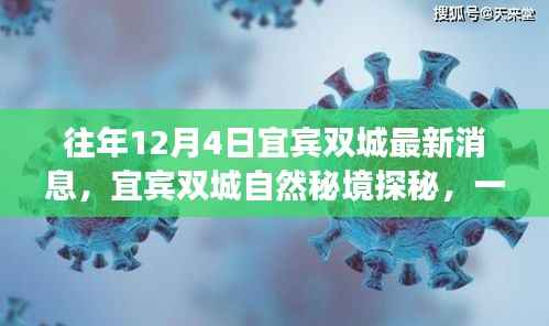 宜宾双城探秘之旅,自然秘境中的心灵寻觅之旅(最新消息)