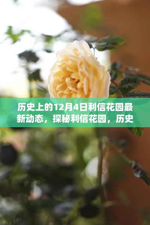 揭秘利信花园,历史美食秘境的最新动态在12月4日揭晓