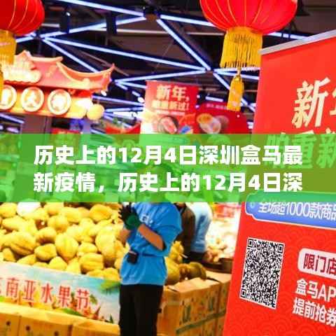 历史上的12月4日深圳盒马疫情事件深度解析与最新动态回顾