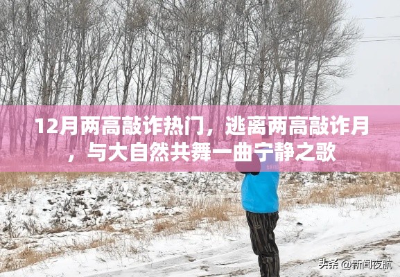 12月热门敲诈事件,逃离高压,与自然共舞宁静之歌