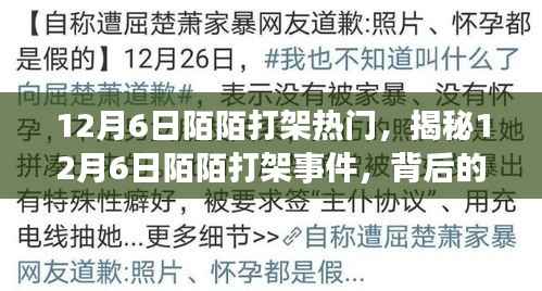 揭秘,12月6日陌陌打架事件背后的原因与影响热议风潮