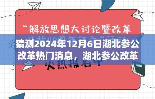 湖北参公改革展望,深度解析热门消息,预测未来趋势至2024年12月6日