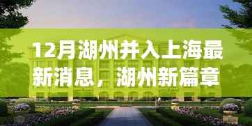 湖州与上海的联动日常,十二月新篇章,温暖联动最新消息