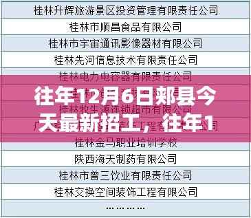 往年12月6日郏县招工信息深度解析与最新招工详情一览