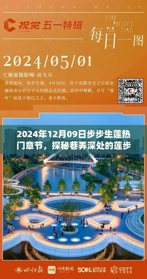 探秘莲步轩,步步生莲背后的故事与热门章节揭秘(日期,XXXX年XX月XX日)