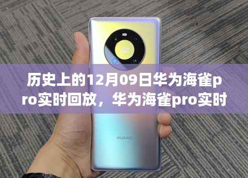 华为海雀pro实时回放功能的历史沿革深度解析与影响探讨