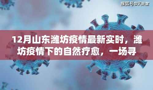 潍坊疫情下的绿色疗愈之旅,寻找内心平静的十二月最新实时动态