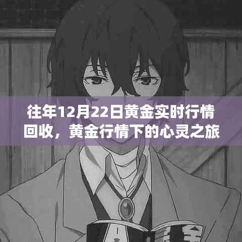 黄金行情下的心灵之旅,往年黄金回收行情与自然美景的探寻
