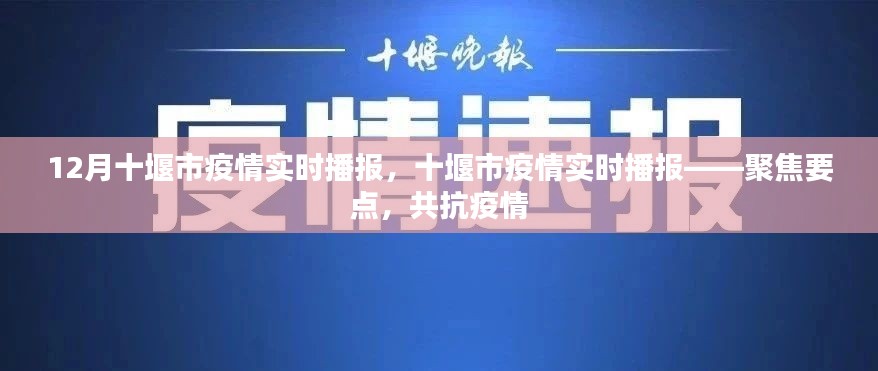 聚焦要点,十堰市疫情实时播报,共抗疫情