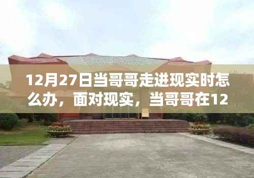 实用指南,如何应对哥哥在12月27日走进生活,初学者与进阶用户的现实挑战!