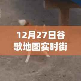 掌握查看方法,12月27日谷歌地图实时街景功能详解与轻松查看指南