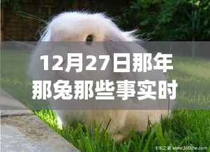 那年那兔时事新闻追踪解读指南,从初学者到进阶用户的步骤指南