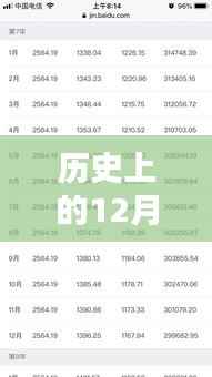 太平实时贷还贷规定深度解析,历史上的12月27日观点阐述