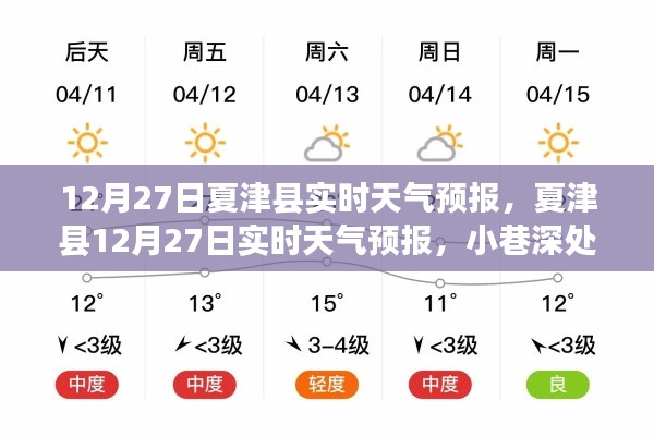 夏津县12月27日实时天气预报与小巷深处的隐藏特色小店探秘