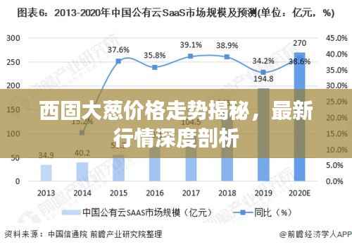 西固大葱价格走势揭秘,最新行情深度剖析