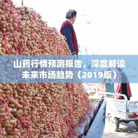 山药行情预测报告,深度解读未来市场趋势(2019版)