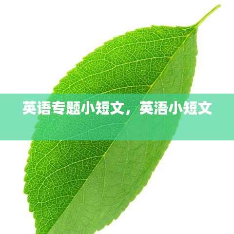 英语专题小短文,英浯小短文