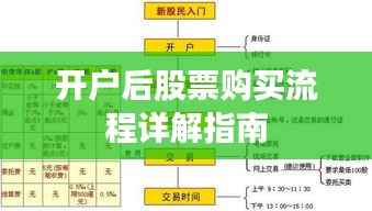 开户后股票购买流程详解指南