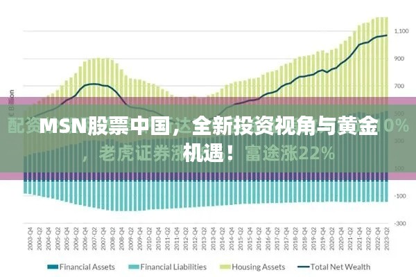 MSN股票中国,全新投资视角与黄金机遇!