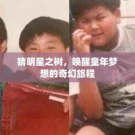 猜明星之树，唤醒童年梦想的奇幻旅程