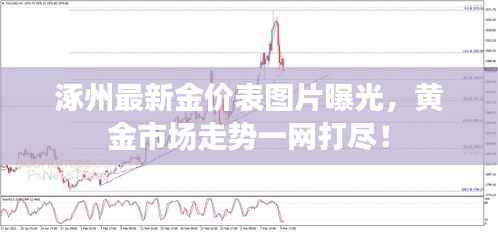 涿州最新金价表图片曝光,黄金市场走势一网打尽!