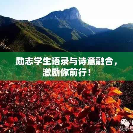 励志学生语录与诗意融合,激励你前行!