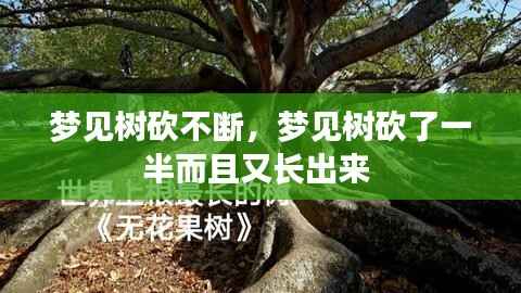梦见树砍不断,梦见树砍了一半而且又长出来