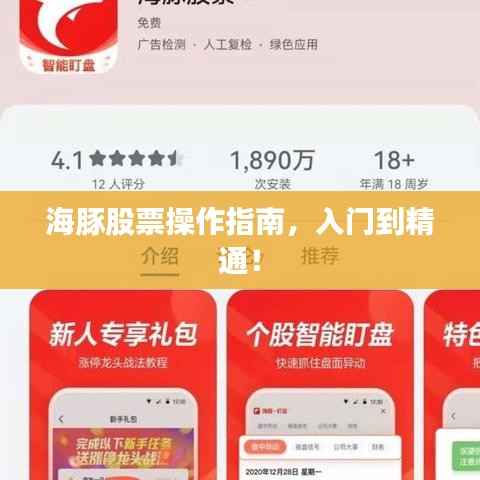 海豚股票操作指南,入门到精通!