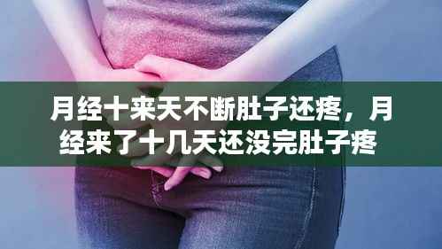 诚聘英才 第102页