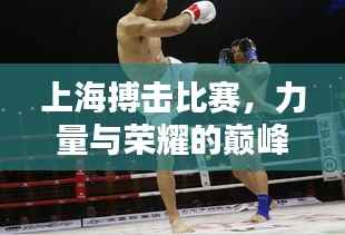 上海搏击比赛,力量与荣耀的巅峰对决!