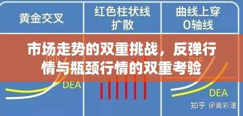 市场走势的双重挑战,反弹行情与瓶颈行情的双重考验