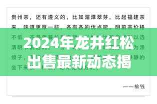 2024年龙井红松出售最新动态揭秘,不容错过的林业商机!