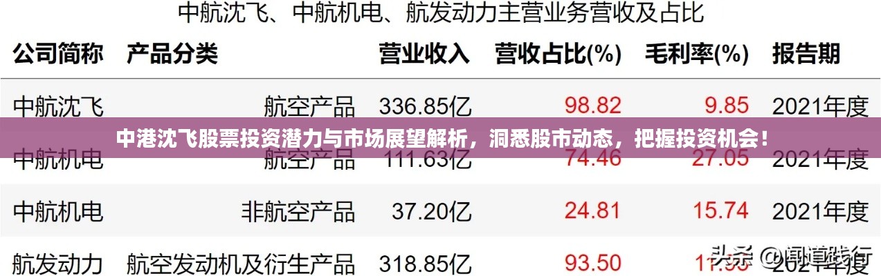 观往知来 第3页