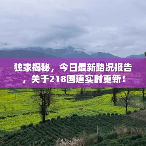 独家揭秘,今日最新路况报告,关于218国道实时更新!