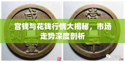 宫钱与花钱行情大揭秘,市场走势深度剖析