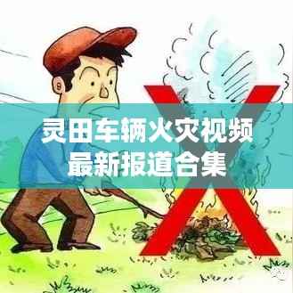 灵田车辆火灾视频最新报道合集