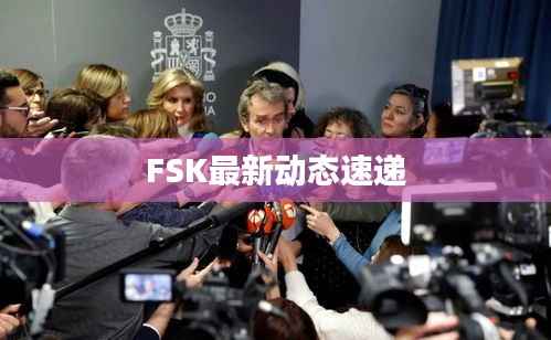 FSK最新动态速递