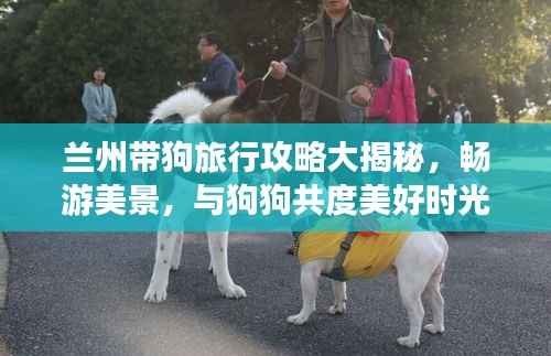 兰州带狗旅行攻略大揭秘,畅游美景,与狗狗共度美好时光!