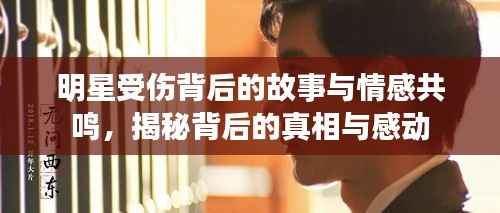 明星受伤背后的故事与情感共鸣,揭秘背后的真相与感动