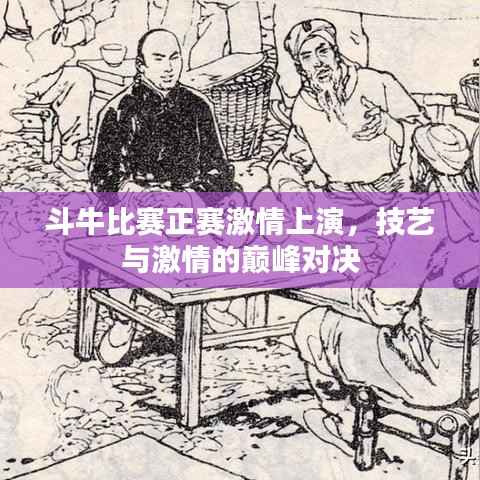 斗牛比赛正赛激情上演,技艺与激情的巅峰对决