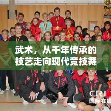 武术,从千年传承的技艺走向现代竞技舞台