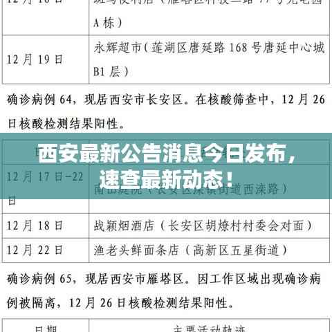 西安最新公告消息今日发布,速查最新动态!