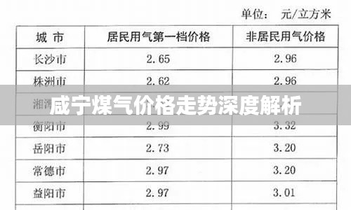 咸宁煤气价格走势深度解析